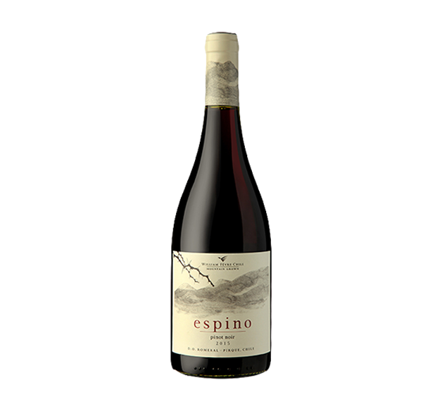 WILLIAM FÈVRE "Espino" 2023 - Pinot Noir - Casablanca Valley - Aconcagua Valley - Chile