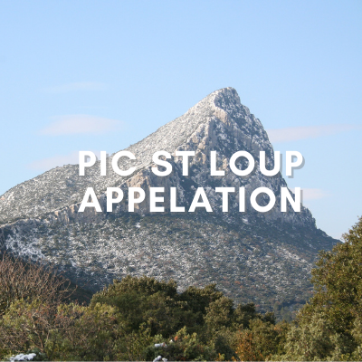 Pic St Loup Appellation - Home To Some Of The Finest Languedoc Wines