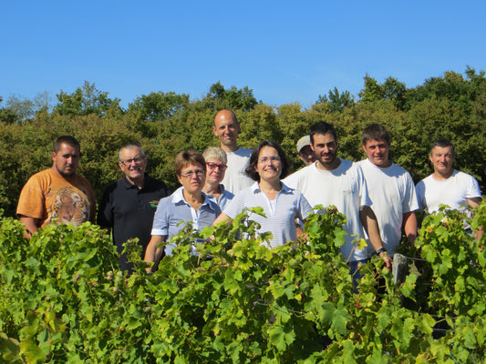 Domaine Masson-Blondelet