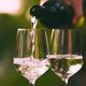 Tasting the Rainbow: A Guided Tour of Red, White, Rosé, and Sparkling Wines