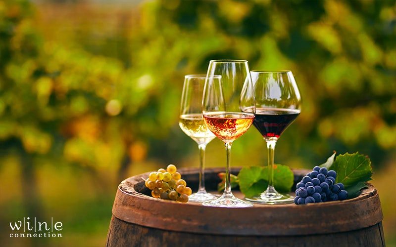 The World of Wines: A Comprehensive Guide to Varieties and Regions  Wine  Connection