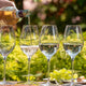 Wine and Seasons: Red, White, Rosé, and Sparkling Wines for Every Time of the Year