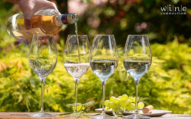 Wine and Seasons: Red, White, Rosé, and Sparkling Wines for Every Time of the Year