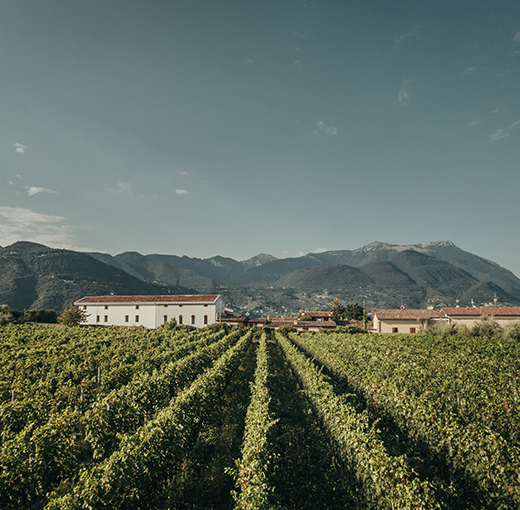 1_cdb24040-4372-4a45-9eb1-a606a88e9f07