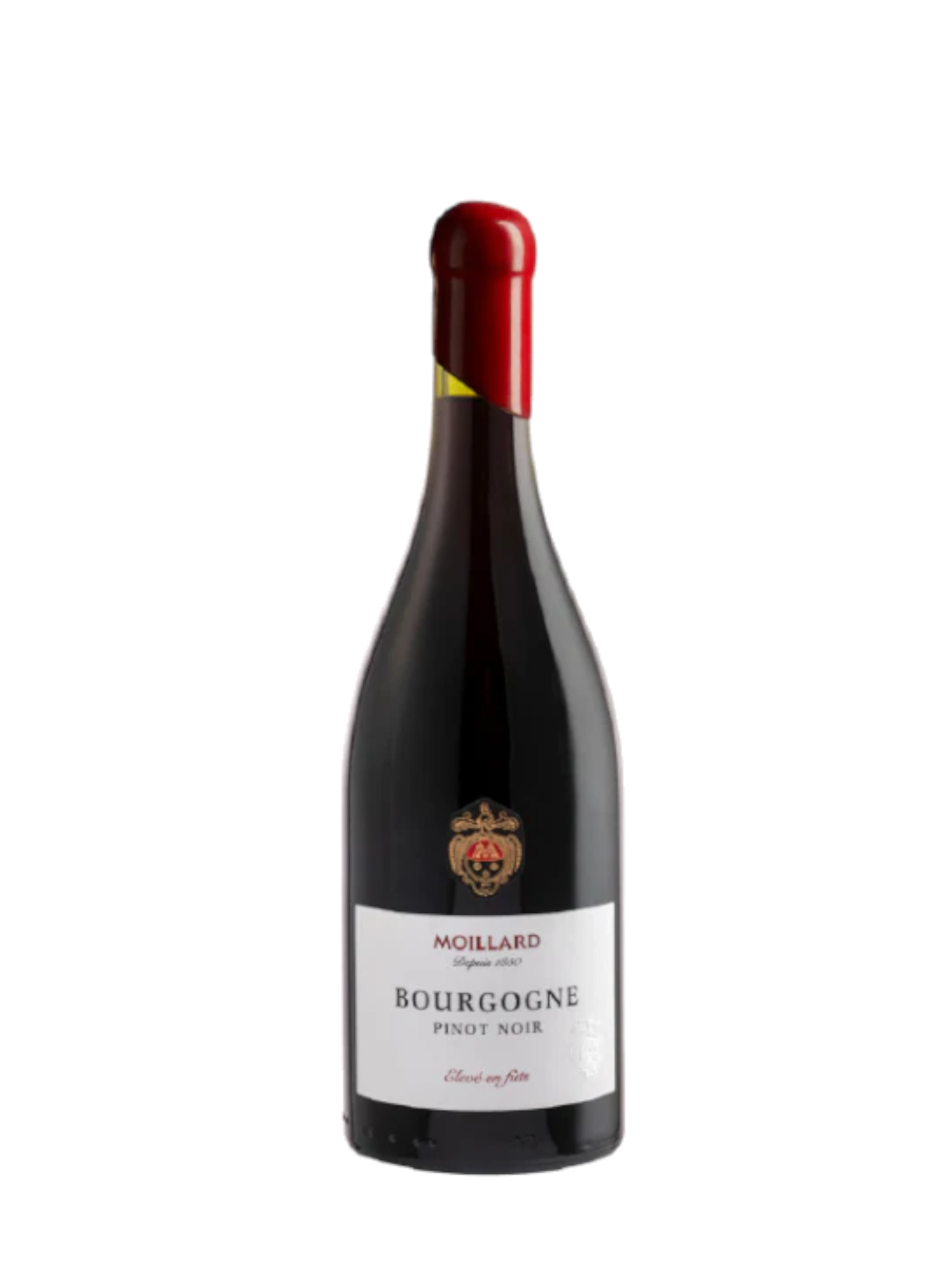 Moillard 2023 - Bourgogne Pinot Noir 100% Fûts - France