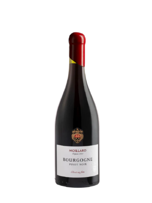 Moillard 2023 - Bourgogne Pinot Noir 100% Fûts - France