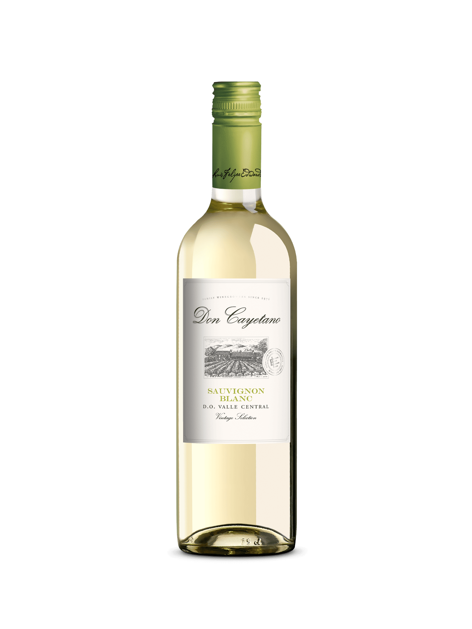 DON CAYETANO "Classic" 2024 - Sauvignon Blanc - Central Valley - Chile