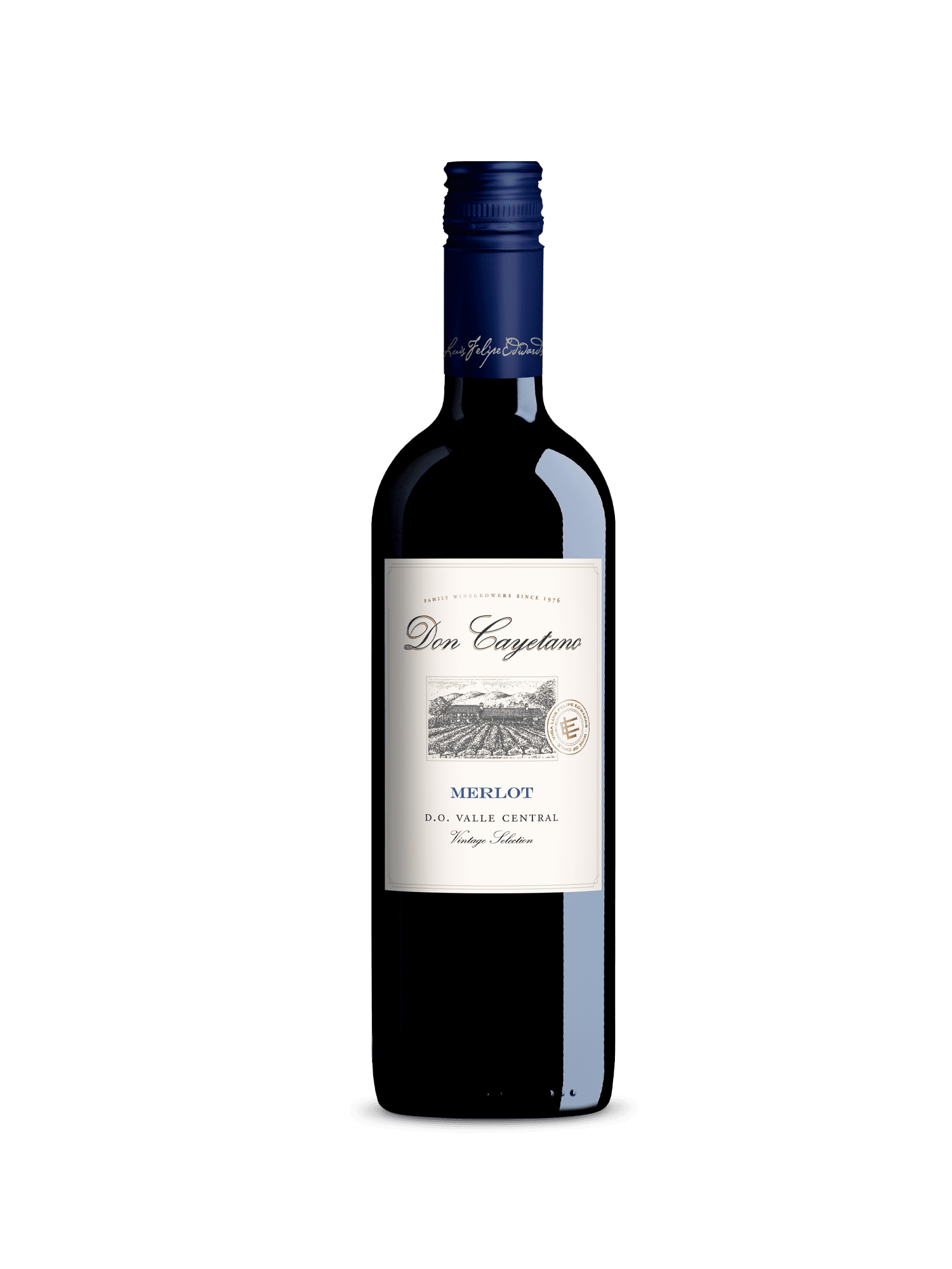 DON CAYETANO "Classic" 2024 - Merlot - Central Valley - Chile