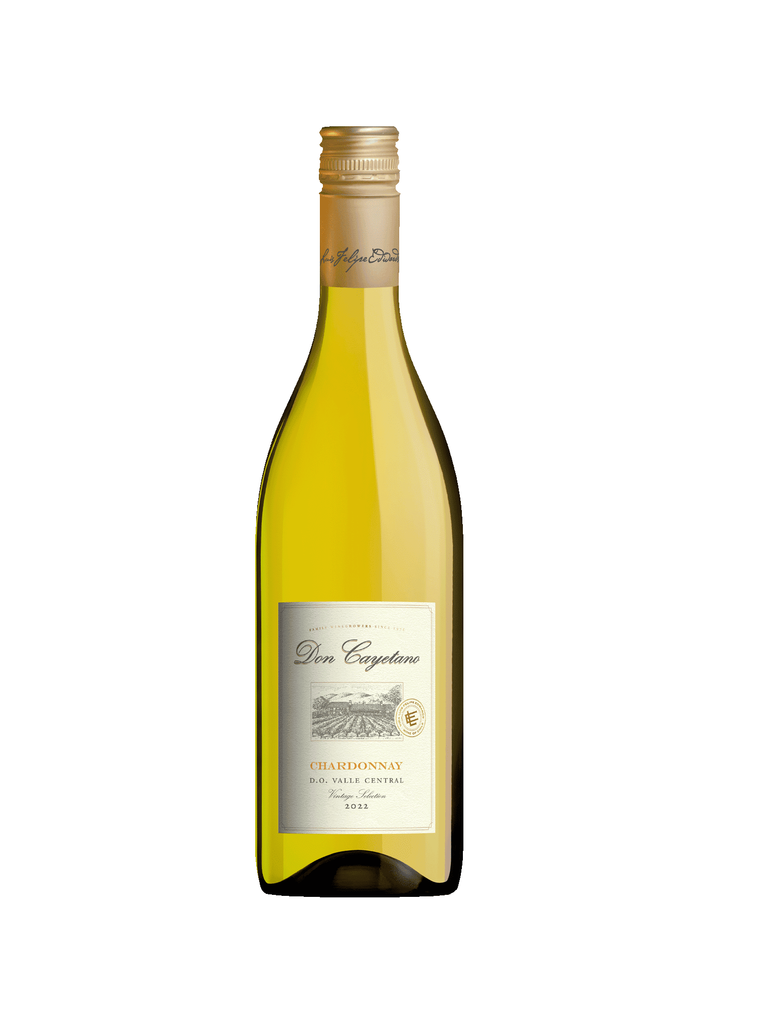 Don Cayetano "Classic" 2024 - Chardonnay - Colchagua Valley - Chile