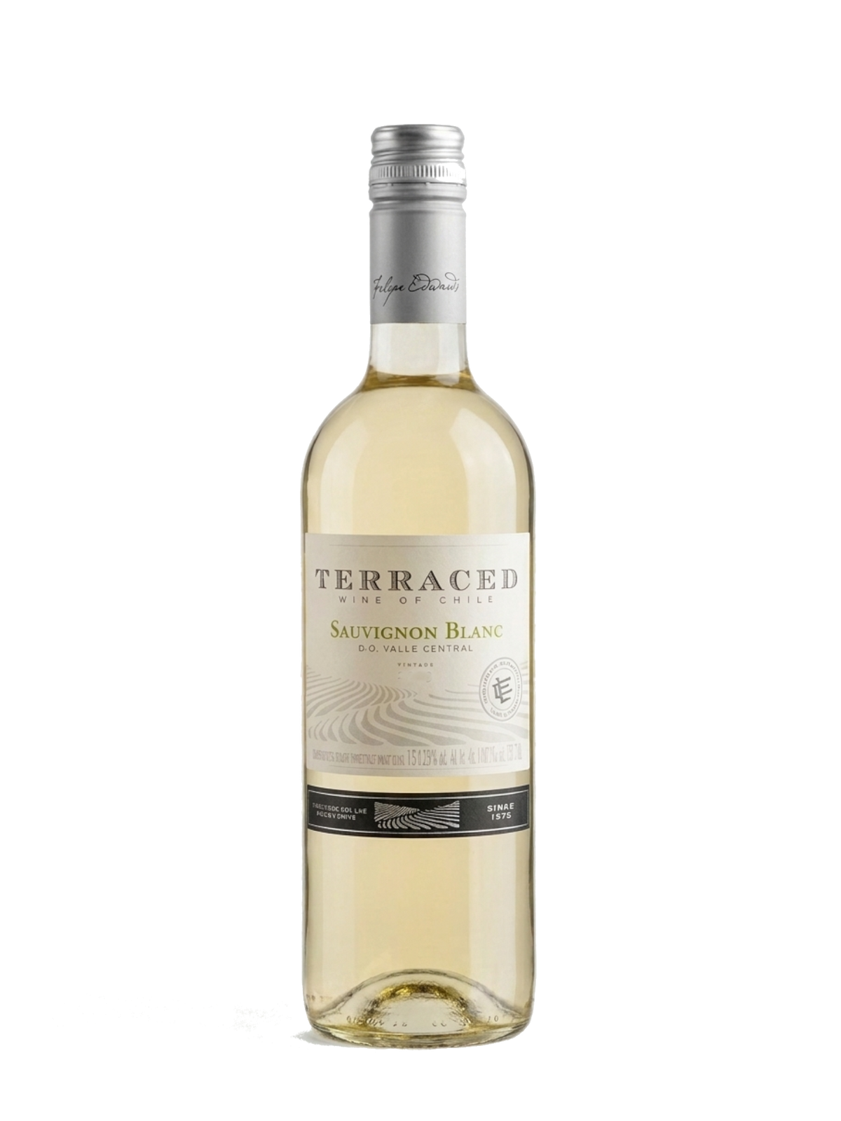 Terraced "Classic Range" 2023 - Sauvignon Blanc - Chile