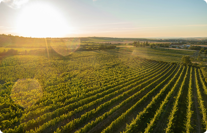 Frame_1000007376_9_b8cff6ae-c2c2-4bf8-ae7c-b7493b5c8190