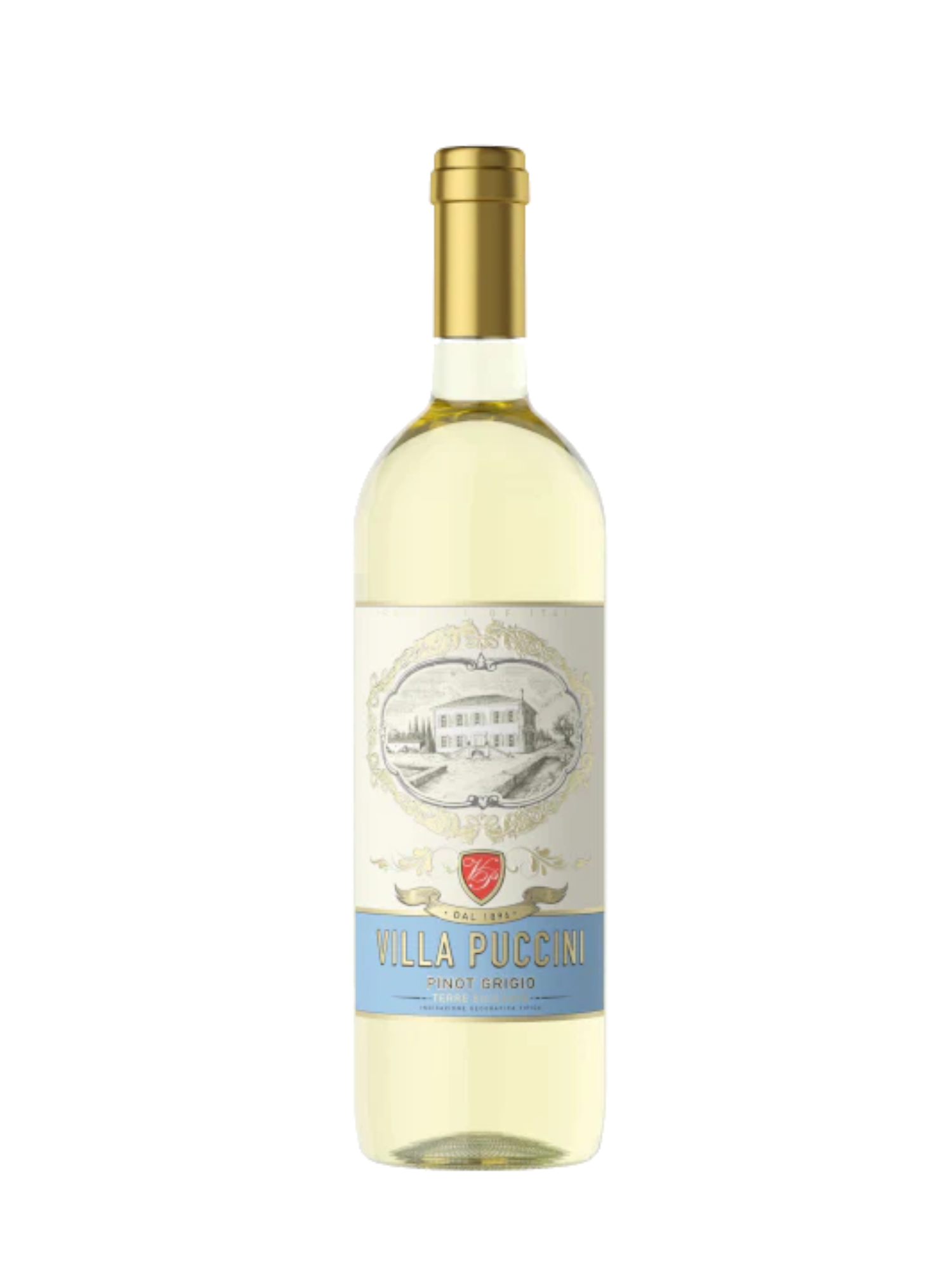 VILLA PUCCINI 2024 - Pinot Grigio - Terre Siciliane IGT, Sicily - Italy
