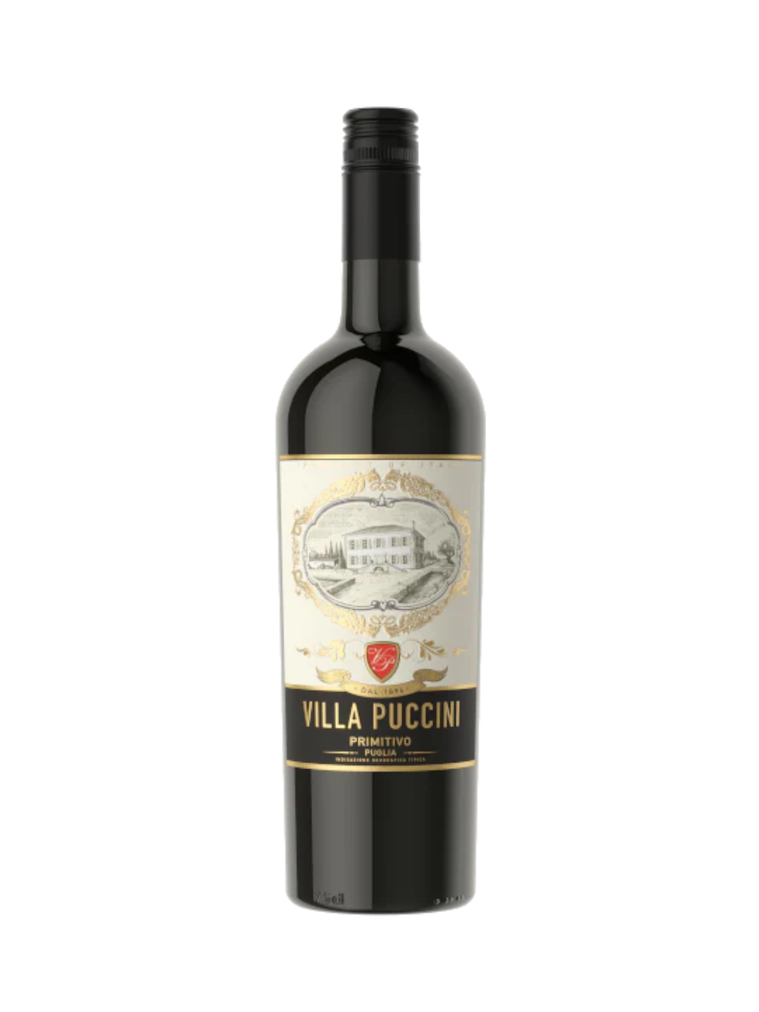 VILLA PUCCINI 2021 - Primitivo - Puglia IGT - Italy