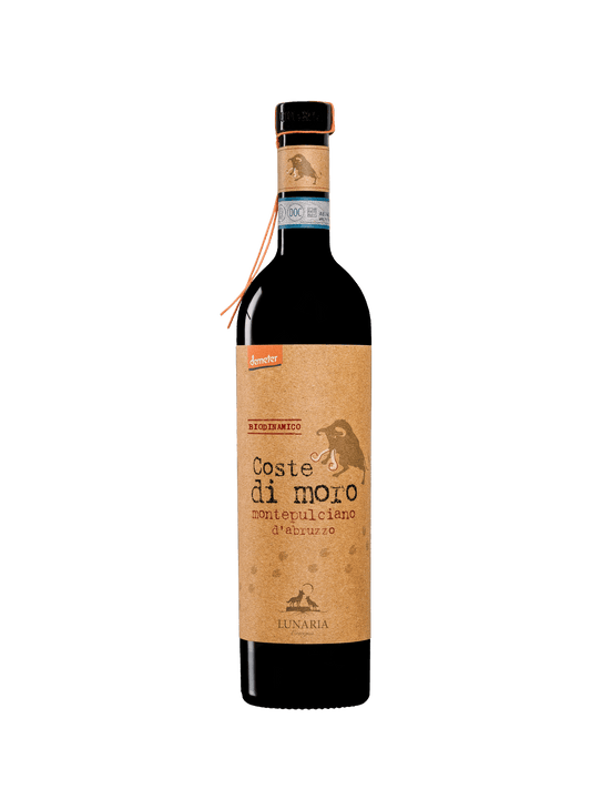 COSTE DI MORO 2019 - Montepulciano D'Abruzzo - Italy