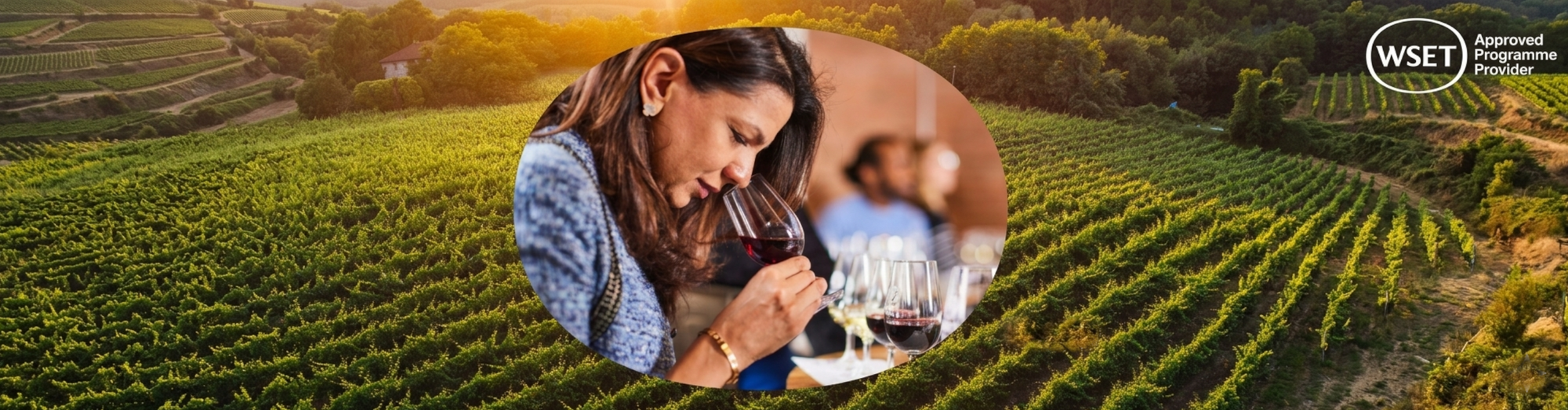 WSET-Image_19893e9f-2d2b-4a76-a077-86d8169a84bd