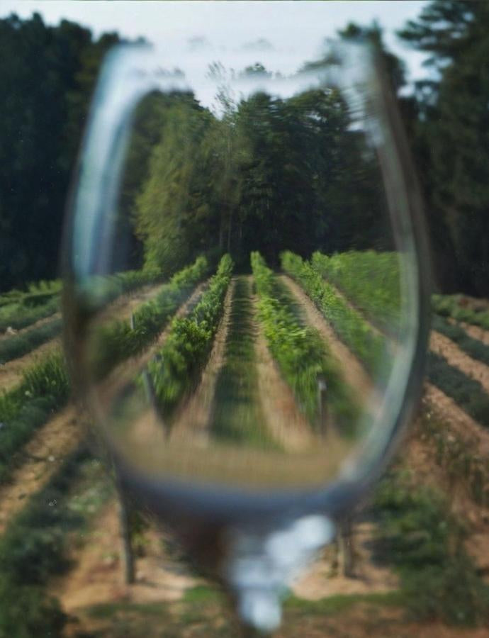 Wine_Glass_Recycle_with_grass_expand