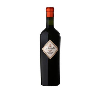 PASCUAL TOSO ALTA 2021 - Malbec - Barrancas, Mendoza - Argentina