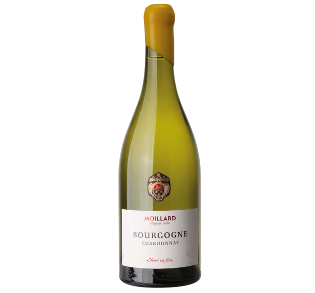Moillard 2023 - Bourgogne Chardonnay 100% Fûts - France