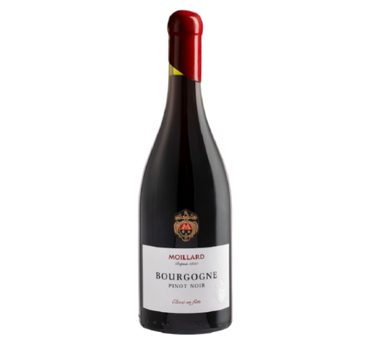 Moillard 2022 - Bourgogne Pinot Noir 100% Fûts - France
