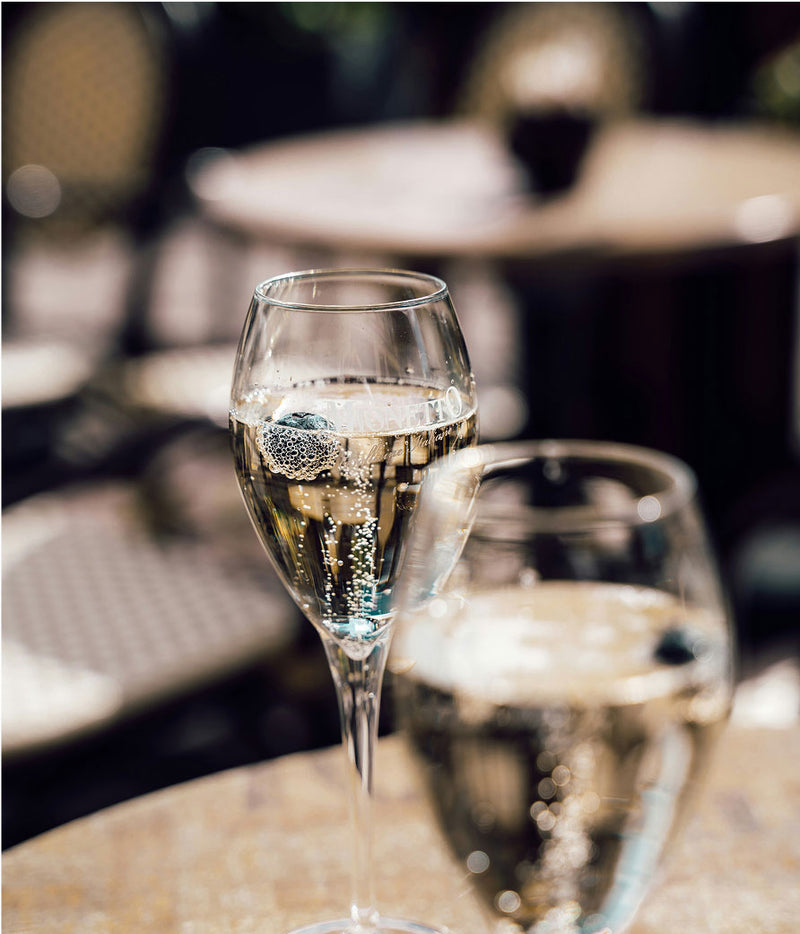 collection-1_7493c5b4-2e62-4850-b9ac-f3a98c8e5082