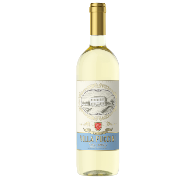 VILLA PUCCINI 2024 - Pinot Grigio - Terre Siciliane IGT, Sicily - Italy